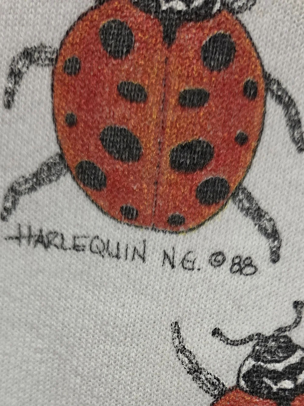 Vintage Hanes White Crewneck Sweatshirt with Red Ladybug Print 80's